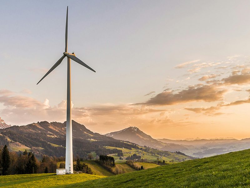 &ldquo;Sunshine Passbook&rdquo; illuminates Yanjiang Village